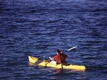 Yhdistyksemme puheenjohtaja on kova poika melomaan. Tässä hän antaa mallikkaan tyylinäytteen.
Kuva: www.freeimages.co.uk